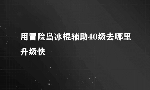 用冒险岛冰棍辅助40级去哪里升级快