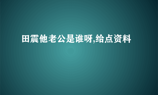 田震他老公是谁呀,给点资料