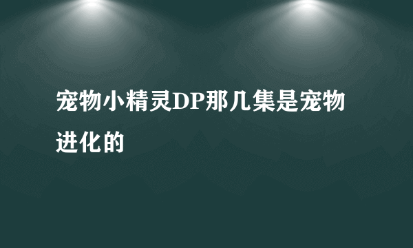 宠物小精灵DP那几集是宠物进化的