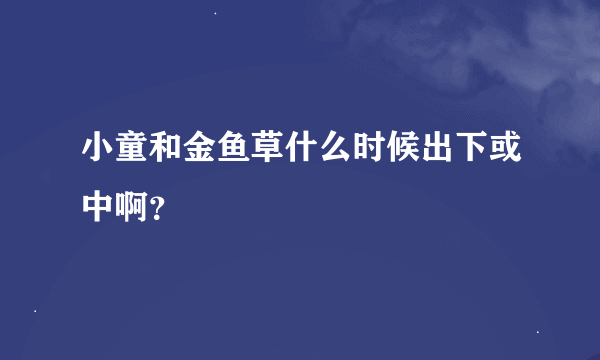 小童和金鱼草什么时候出下或中啊？