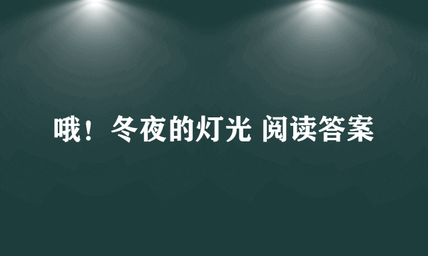 哦！冬夜的灯光 阅读答案