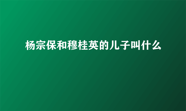 杨宗保和穆桂英的儿子叫什么