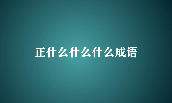 正什么什么什么成语