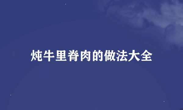 炖牛里脊肉的做法大全