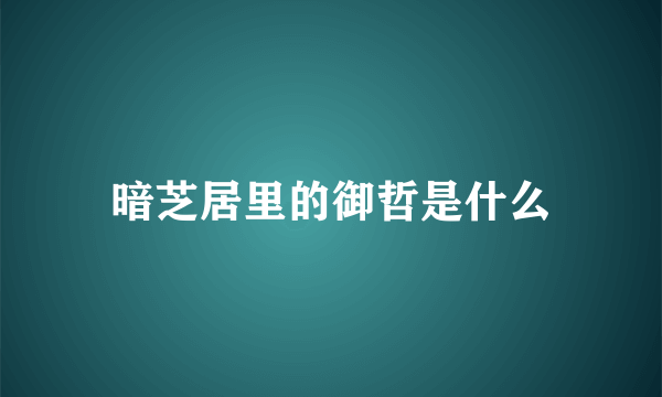 暗芝居里的御哲是什么