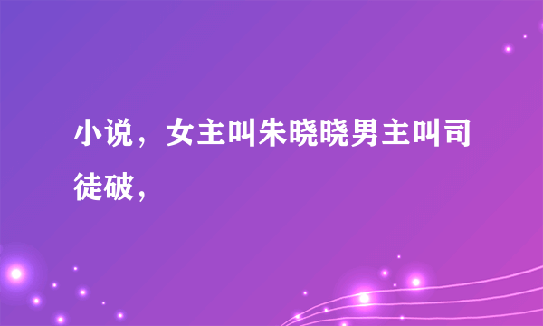 小说，女主叫朱晓晓男主叫司徒破，