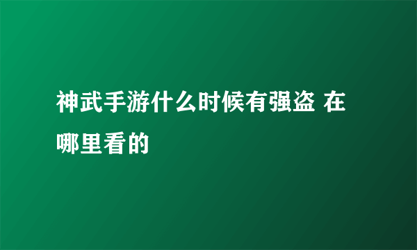 神武手游什么时候有强盗 在哪里看的