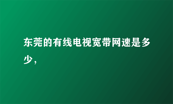 东莞的有线电视宽带网速是多少，