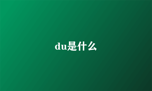 du是什么