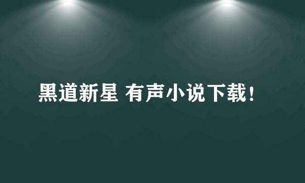 黑道新星 有声小说下载！