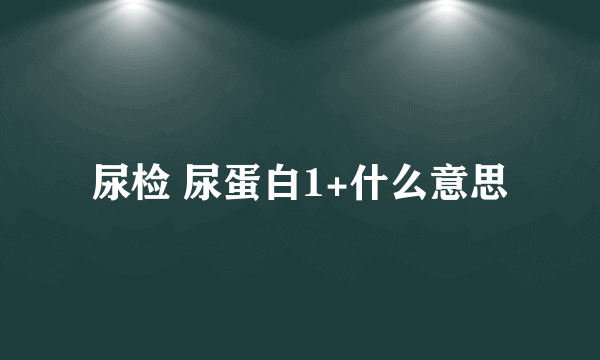 尿检 尿蛋白1+什么意思