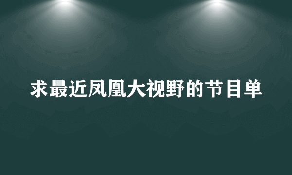 求最近凤凰大视野的节目单