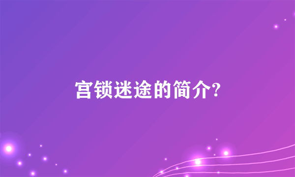 宫锁迷途的简介?