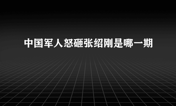 中国军人怒砸张绍刚是哪一期