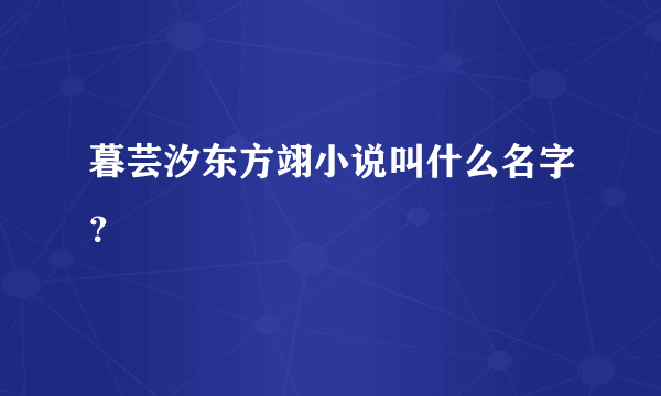 暮芸汐东方翊小说叫什么名字？