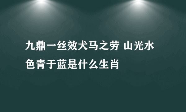 九鼎一丝效犬马之劳 山光水色青于蓝是什么生肖