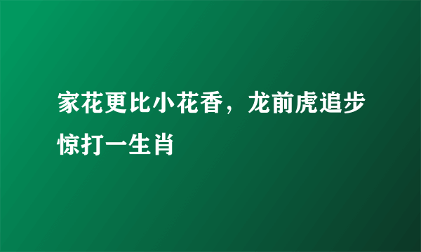 家花更比小花香，龙前虎追步惊打一生肖