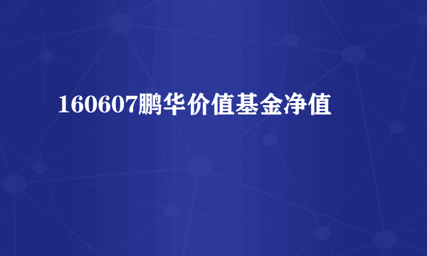 160607鹏华价值基金净值