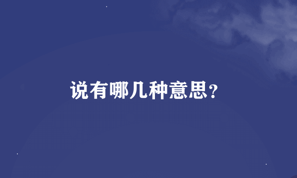 说有哪几种意思？