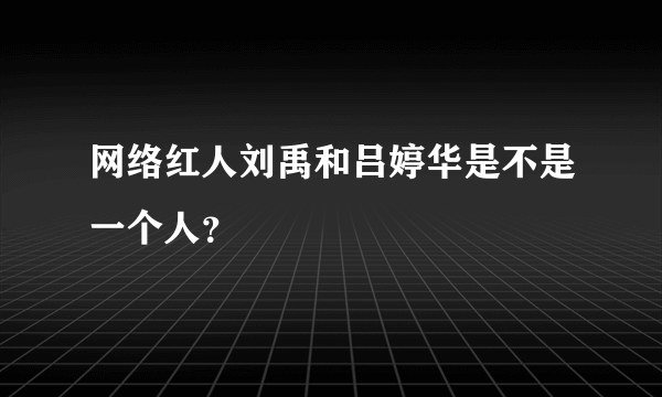 网络红人刘禹和吕婷华是不是一个人？