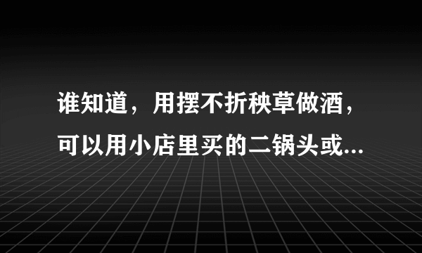 谁知道，用摆不折秧草做酒，可以用小店里买的二锅头或者老村长吗？