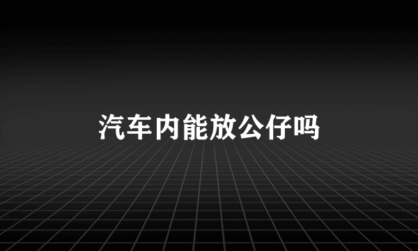 汽车内能放公仔吗