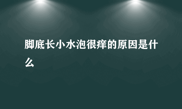 脚底长小水泡很痒的原因是什么