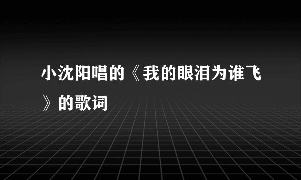 小沈阳唱的《我的眼泪为谁飞》的歌词