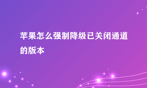 苹果怎么强制降级已关闭通道的版本