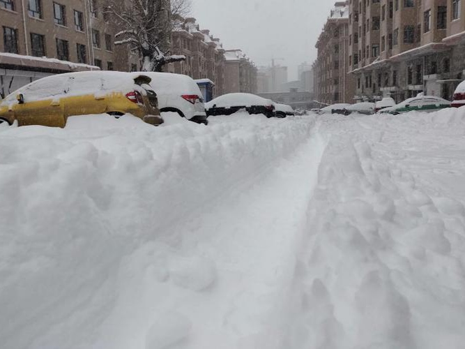 东北出现大范围特大暴雪，当地采取了哪些应对措施？