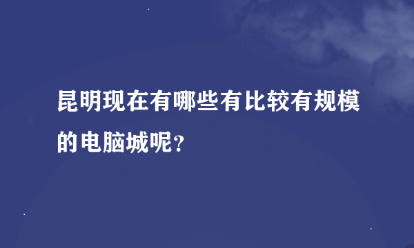 昆明现在有哪些有比较有规模的电脑城呢？