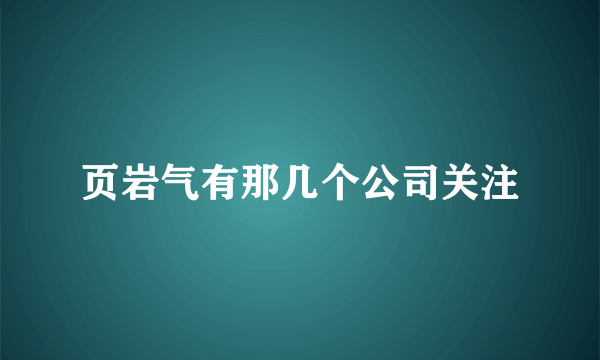 页岩气有那几个公司关注