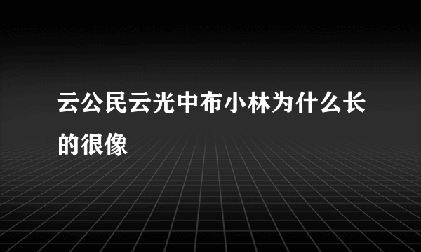 云公民云光中布小林为什么长的很像