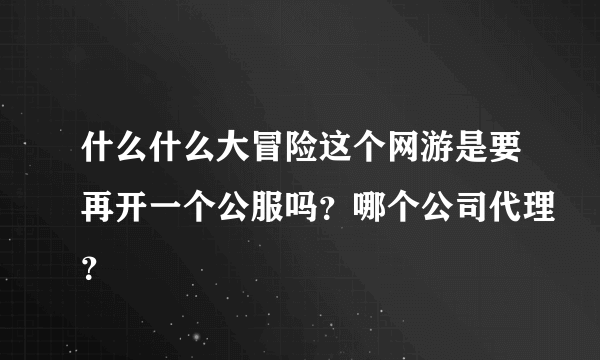 什么什么大冒险这个网游是要再开一个公服吗？哪个公司代理？