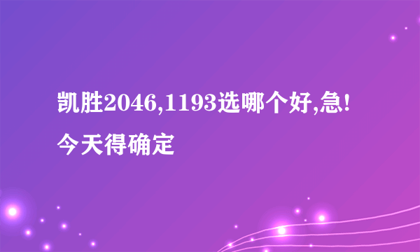 凯胜2046,1193选哪个好,急!今天得确定