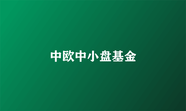 中欧中小盘基金