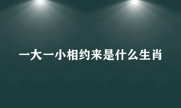 一大一小相约来是什么生肖