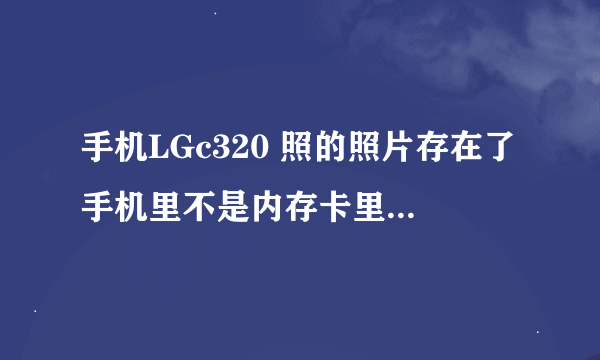 手机LGc320 照的照片存在了手机里不是内存卡里 用数据线连到网上后看不到存手机里的东西 怎么上传啊