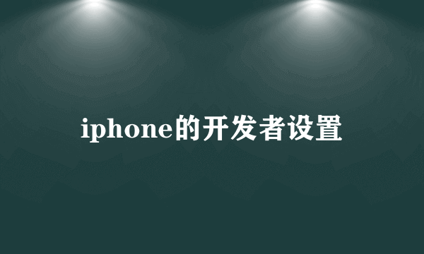 iphone的开发者设置