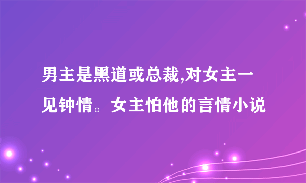 男主是黑道或总裁,对女主一见钟情。女主怕他的言情小说