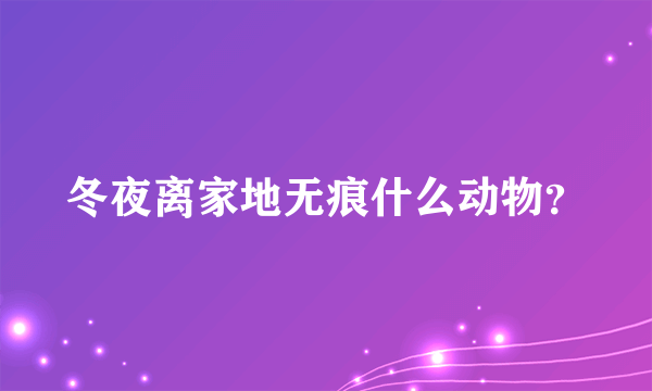 冬夜离家地无痕什么动物？