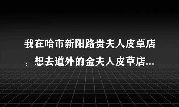 我在哈市新阳路贵夫人皮草店，想去道外的金夫人皮草店应该做几线公交车，在去KC皮草应该怎么走