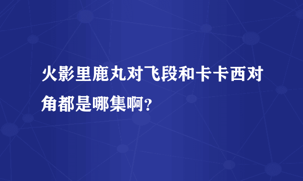 火影里鹿丸对飞段和卡卡西对角都是哪集啊？