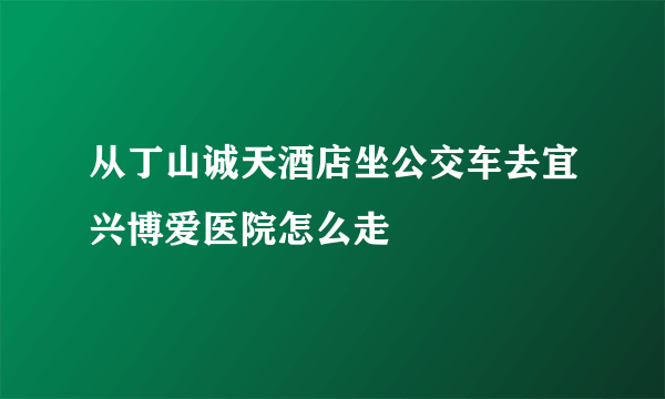 从丁山诚天酒店坐公交车去宜兴博爱医院怎么走