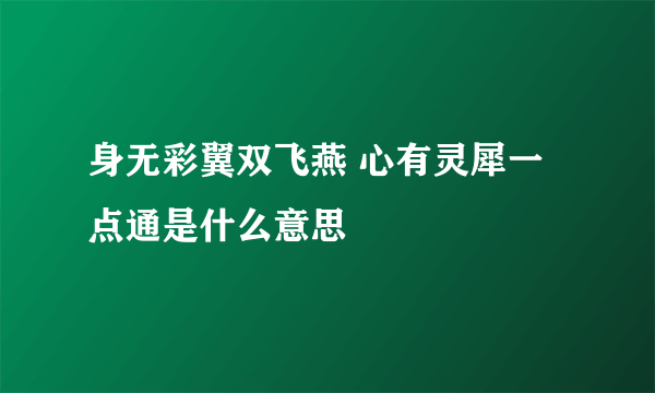 身无彩翼双飞燕 心有灵犀一点通是什么意思