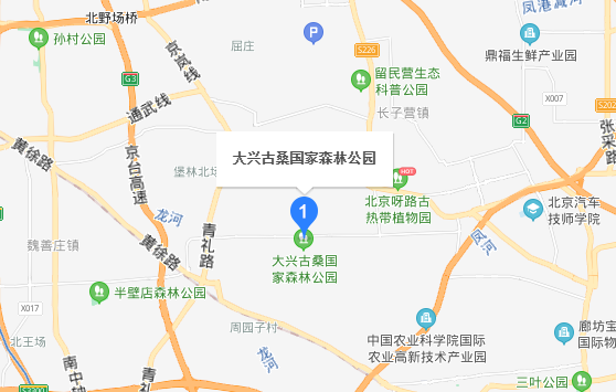 大兴森林公园在哪