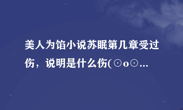 美人为馅小说苏眠第几章受过伤，说明是什么伤(⊙o⊙)哦，越多越好，小说