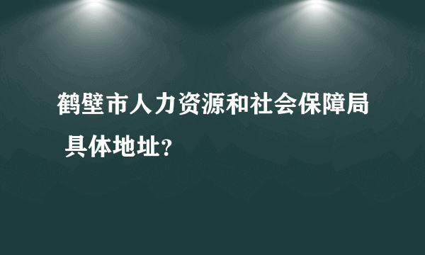 鹤壁市人力资源和社会保障局 具体地址？