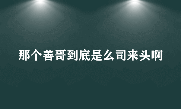 那个善哥到底是么司来头啊