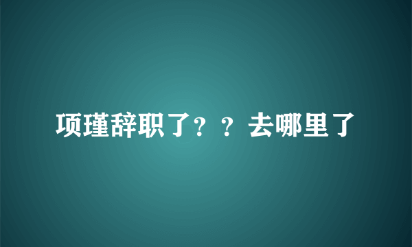 项瑾辞职了？？去哪里了